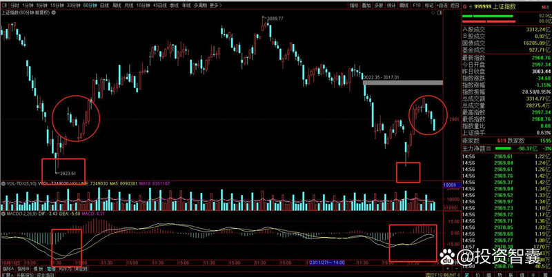 五洲纸业股票 五洲纸业招股说明书