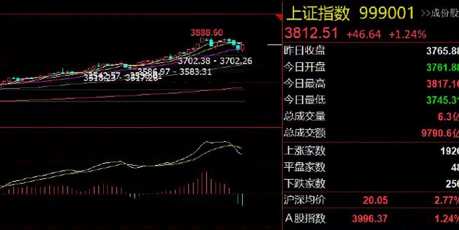 累积股票制名词解释(股票解释)