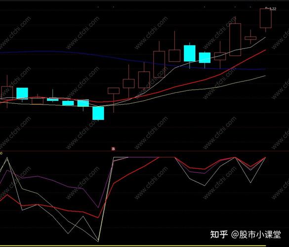 怎么样选择基金(基金内参数据计算公式)