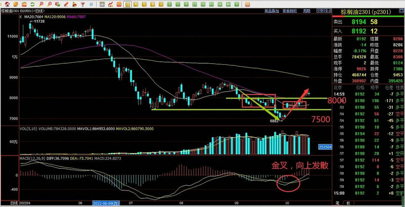 万亿市值巨头工业富联去年净利同比增长逾五成